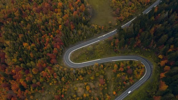 Vista aérea de 4k video vista superior de árboles coloridos de finales del bosque de otoño con sinuoso camino rural — Vídeos de Stock