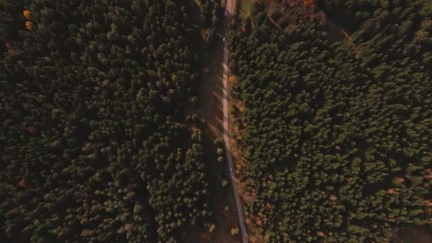 空中俯瞰4k镜头汽车沿着公路行驶在松林中。在乌克兰喀尔巴阡山脉旅行的汽车。初秋在混交林，翠绿的针叶树，落叶落叶 — 图库视频影像