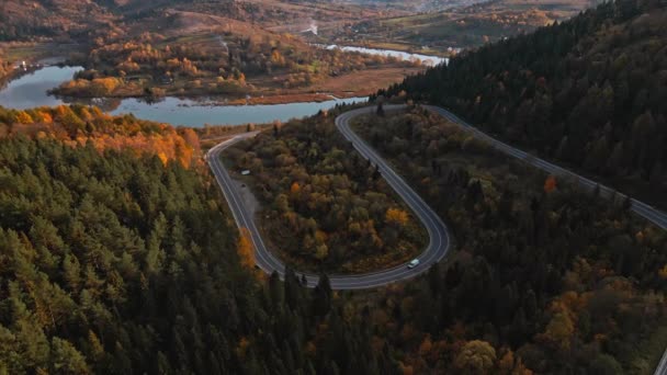 Letecký drone pohled na Cargo Bus se pohybuje podél hadovité lesní horské silnice na západní Ukrajině. Doprava, Cestování, Dodací koncepce — Stock video