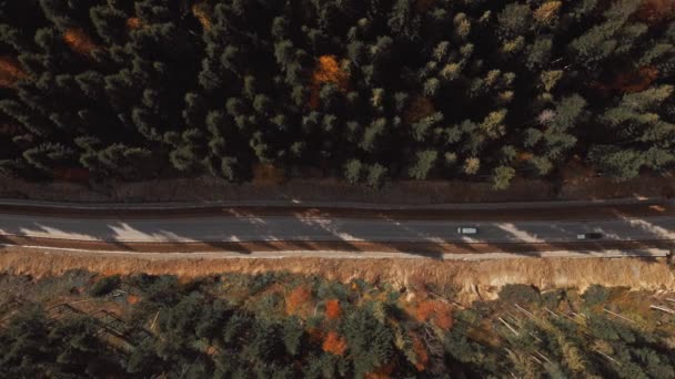 Vista aérea Imágenes 4k Coche que conduce a lo largo de la carretera en bosque de pinos. coche que viaja en Cárpatos montañas, Ucrania. Principios de otoño en bosque mixto, coníferas verdes, árboles deciduos con hojas amarillas — Vídeos de Stock