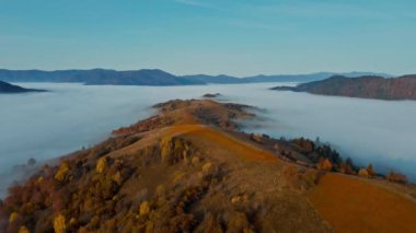 Güneşin doğuşuyla birlikte, altın saat turuncu yaprak ormanı ön planında, dağ vadisi tepelerinde süzülen sis denizi manzarası. Dağlardaki bulutlu ormanın üzerinden İHA uçuşu