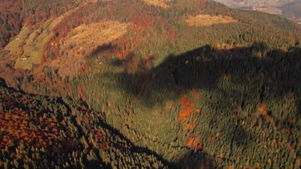 숲에서의 이른 가을 하늘 풍경. 혼합 된 숲, 녹색 침엽수, 낙엽수와 노란 잎 이 있습니다. 전원 지역의 숲에 색을 넣는다. 다채 로운 자연의 질감 위를 날고 있는 드론. — 비디오
