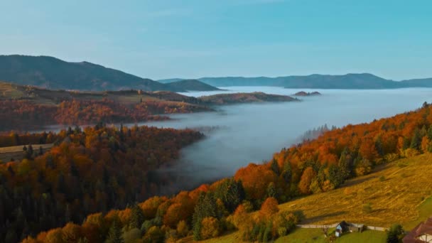 해 가 뜨면 드론 이 아름다운 가을 풍경을 그리며 날아 갑니다. 계곡 아래에 구름의 바다와 함께 말이죠. 놀라운 언덕 위에서 이른 아침의 모습 — 비디오