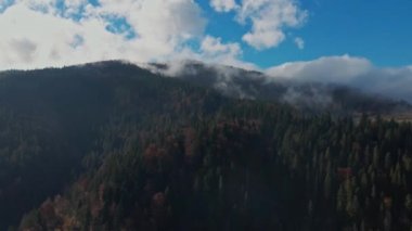 Dağlara karşı ormandaki yeşil ağaçların havadan görünüşü, İHA 'nın cennet ormanlarında ilerleyişi - Karpat Dağları, Ukrayna