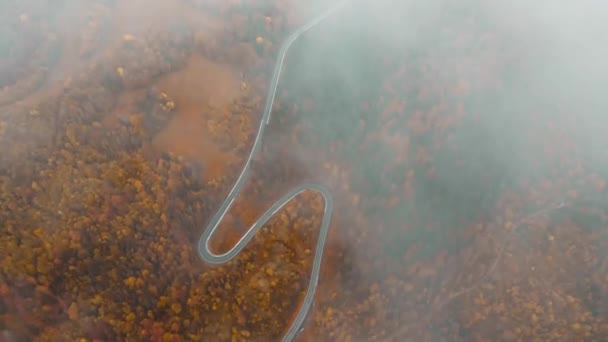 4k 공중에서 내려다본 영상, 구불구불 한 시골길 이 있는 가을철 숲의 다채 로운 나무들의 꼭대기를 보여준다 — 비디오