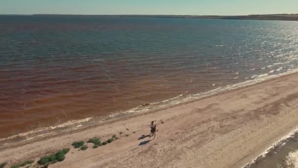 Dos personas corriendo por la playa de arena playa barra de arena en la región de Mykolaiv, Ucrania. — Vídeo de stock