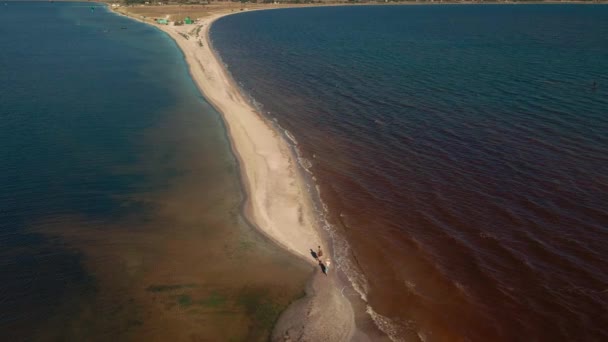 Pandangan atas udara pandangan lambat gerak ditembak berjalan pasangan di pantai pasir, bar pasir, Ukraina — Stok Video