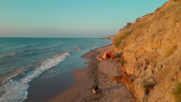 Légi kilátás gyönyörű tengeri strand sziklával napkeltekor, aranyos kutya séta a tengerparton — Stock videók