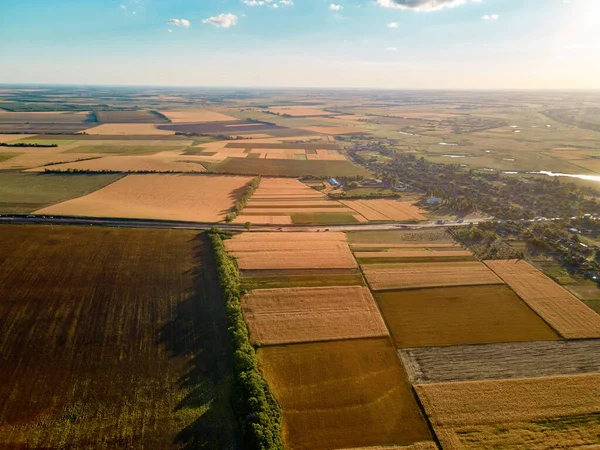 Korkea näkymä pelloille maissi, vehnä ja auringonkukka maaseudulla — kuvapankkivalokuva