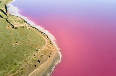 Pembe göl kıyısının muhteşem hava aracı manzarası. Tuzlu gölde mor su