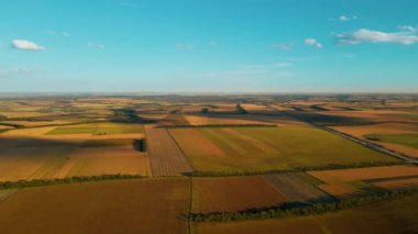 Ukrayna kırsal kırsal kesiminde sarı mısır, buğday ve ayçiçeği tarlaları üzerinde panoramik hava görüntüleri. Hasat mevsimi, yiyecek stokları ve Ukrayna kara toprağında tarım.