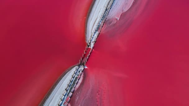 Flying over pink salt lake. Salt production facilities saline evaporation pond fields in salty lake. Dunaliella salina impart red, pink water in mineral lake with dry crystallized salty coast — Stock Video