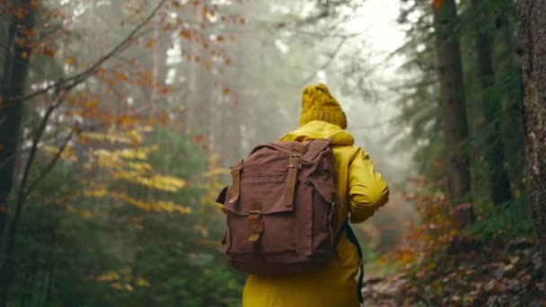 Женщина в жёлтой куртке ходит с собакой по следам в осеннем лесу. женщина туристка с рюкзаком идет вверх через мокрое дерево с желтыми листьями. избирательный фокус. путешествия по Украине. — стоковое видео