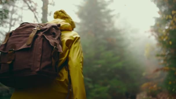 Cámara lenta Vista trasera: Turista mujer en ropa de color amarillo brillante con mochila senderismo sendero en el bosque de otoño en un día de otoño brumoso, fin de semana de excursión de un día de caminata al aire libre — Vídeo de stock