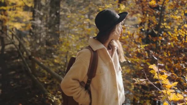 Kadın turist, güneşli bir sonbahar gününde sonbahar ormanında yolda yürüyor. Sırt çantasıyla dağ gölünün etrafındaki ormanda yürüyüş yapan kadın yürüyüşçü. Soğuk güneşli bir sabahta, açık hava macerası. — Stok video