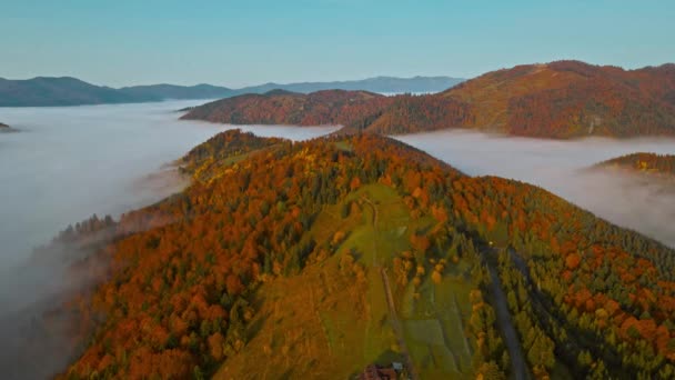 Vuelo de drones al amanecer sobre hermoso paisaje otoñal de cordillera con mar de nubes en fondo del valle. vista desde arriba en las colinas increíbles en la mañana temprano — Vídeos de Stock