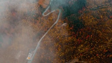 4k hava manzaralı sonbahar ormanı sonbaharı ormanın renkli ağaçlarının dolambaçlı kır yolu manzarası