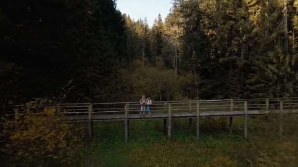 Visão de câmera lenta aérea de caminhantes casal homem e mulher na costa do belo famoso lago de montanha Synevir na Ucrânia. menina feliz com braços levantados goza paisagem paisagem — Vídeo de Stock