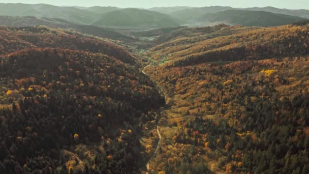 Outono profundo colorido Floresta Árvore Paisagem Curvo Estrada Vista Aérea. Epic Hill Chain Scenery Coberto por bosques exuberantes. Rodovia atravessa a Ucrânia Ecossistema Vida Selvagem Habitat Natural Ambiente Conceito 4K. — Vídeo de Stock