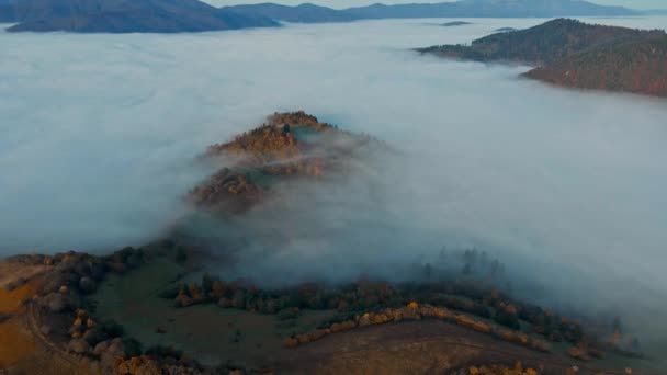 Drone πτήση κατά την ανατολή του ηλίου πάνω από όμορφο τοπίο φθινόπωρο της οροσειράς με θάλασσα από σύννεφα στον πυθμένα της κοιλάδας. θέα από ψηλά σε εκπληκτικούς λόφους νωρίς το πρωί — Αρχείο Βίντεο