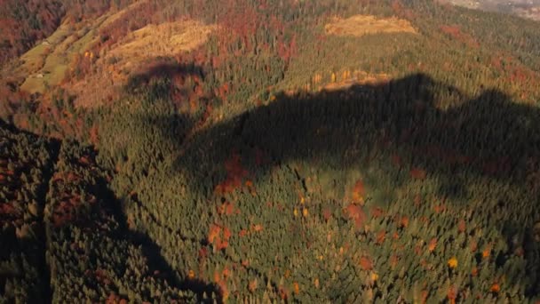 Veduta aerea da drone di bellissimo paesaggio boschi autunnali nelle montagne dei Carpazi, Ucraina. Foresta mista, conifere verdi, alberi decidui con foglie gialle. Colori autunno campagna bosco. Drone — Video Stock