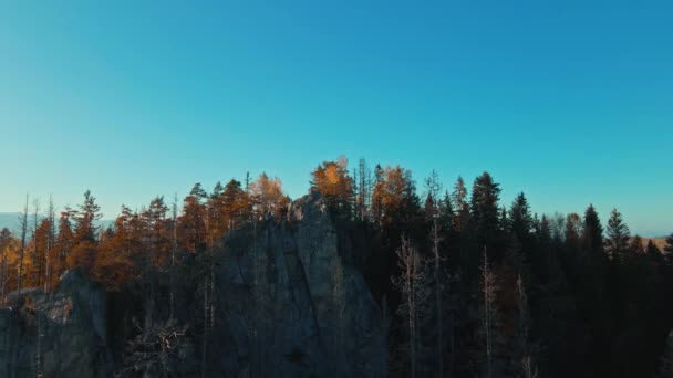 Episka drönare film antenn Magnifik utsikt vackert landskap med lövskog på mäktiga Karpaterna Berg och klarblå himmel bakgrund. Fredliga berg i Ukraina. — Stockvideo