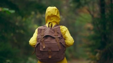 Ağır çekim kamera, sırt çantalı, sarı yağmurluklu kadını takip ediyor. Çekici, mutlu, genç bir kız. Sırt çantalı. Soğuk, sisli, yağmurlu bir sonbahar gününde yeşil ormanda yürüyüş yapıyor.