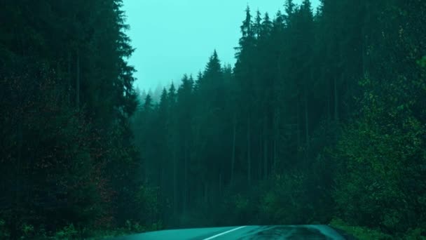 Gloomy misty landscape with road in the middle of dark forest at rainy foggy day. Carpatians mounatins in Ukraine. — Stockvideo