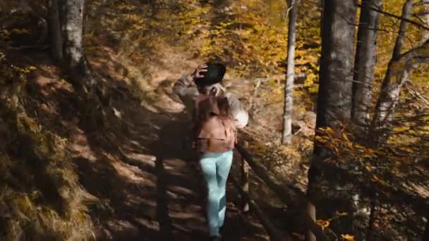 Rear view Woman tourist walks on trail in autumn woods at sunny day. female ukrainian hiker in hat with backpack hiking in forest around mountain lake Sinevir, Ukraine — Vídeo de Stock