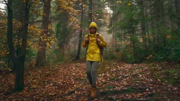 Slow motion pretty woman in yellow jacket and beany with tourist backpack walking through wet autumn forest wild nature enjoying weekend hiking adventure. people in Ukraine nature outdoors — Video Stock