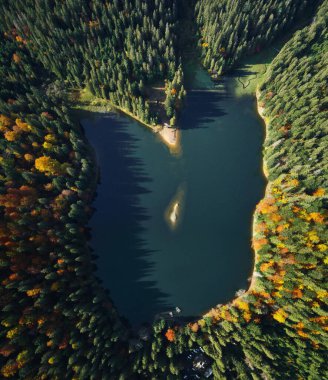 Tepe manzaralı ünlü Alp Gölü Sinevir. Mavi sularda gölgeler oluşturan uzun çamlar