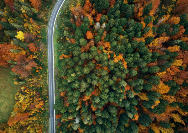 Top view of colorful landscape of autumn woods with line country road. Royalty Free Stock Images