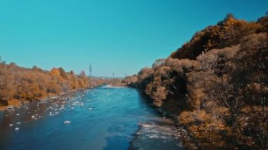 Ukrayna 'nın Karpatlar Dağları' ndaki Striy nehri üzerinde uçan insansız hava aracının hava görüntüleri. Koyu mavi gökyüzü, berrak su, yukarıdan gelen sarı turuncu yapraklar..