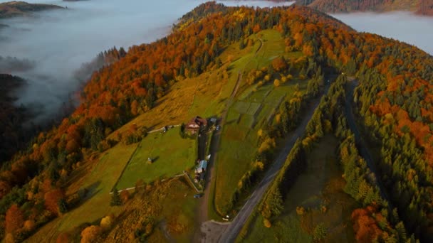 Blick Von Der Drohne Auf Malerische Hügel Mit Grün Orange — Stockvideo