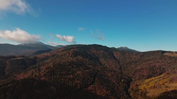 Vista Earial Incrível Prados Castanhos Cênicos Florestas Pinheiros Cobrem Altas — Vídeo de Stock