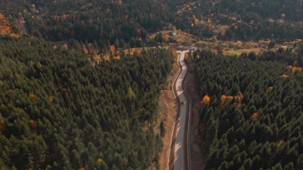 从空中俯瞰着山间的乡村道路 绿树和橘红色的树林 秋天的乌克兰人 沿着喀尔巴阡山脉的高速公路飞行 — 图库视频影像