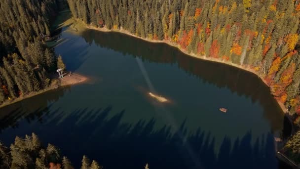 有名な高山湖サンニセア上空の無人機の飛行からの航空映像 湖の周りの緑と茶色の森は穏やかな水に反映されます 美しさカルパチア山脈 ウクライナ — ストック動画