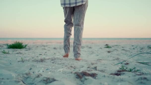日落时分 女嬉皮士在野生沙滩上散步 用手触摸草尖 休闲户外度假 逃到大自然 露营生活方式和自由 — 图库视频影像