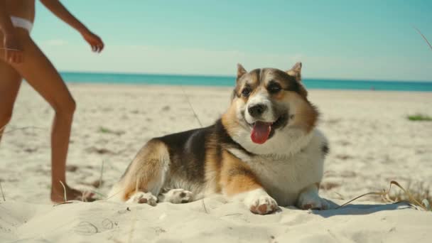 Gelukkige Liefdevolle Tedere Gebruinde Vrouw Bikini Liggend Zand Aan Het — Stockvideo