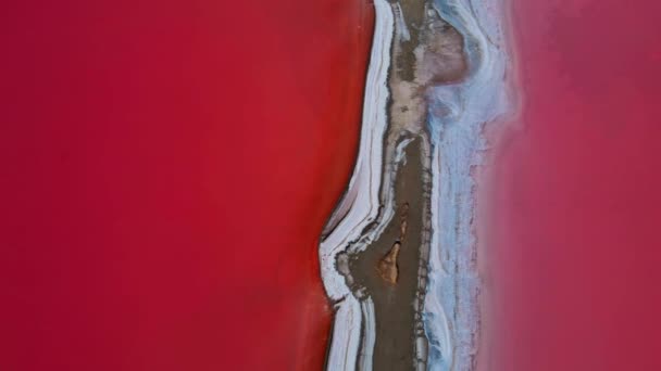 空中展望ピンクの湖の岩塩鉱床 粘土や水を癒すだけでなく ドローンからの眺め — ストック動画