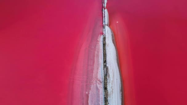 深みのあるカラフルな穏やかな水面と塩の堆積物を持つ小さな島で美しいピンク塩湖の上に壮大な無人機の飛行 — ストック動画