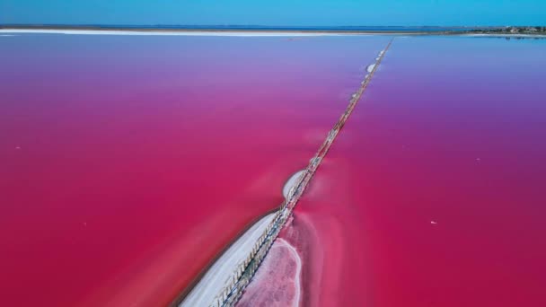 Alto Aerea Giù Fondo Del Lago Lemurian Sivash Alghe Acqua — Video Stock