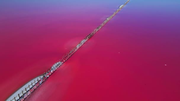 Верхняя Часть Сивашского Лемурийского Озера Соленое Озеро Морского Происхождения Розовые — стоковое видео