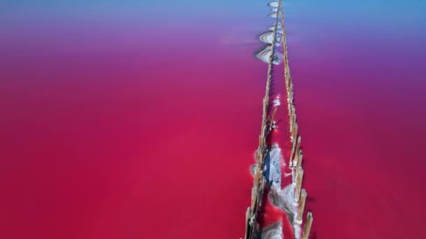 ピンクの塩湖を飛び越える 塩生産設備塩湖の生理食塩水蒸発池フィールド 乾燥結晶塩辛い海岸とミネラルレイクで赤 ピンクの水を与えるDunaliellaサリナ — ストック動画