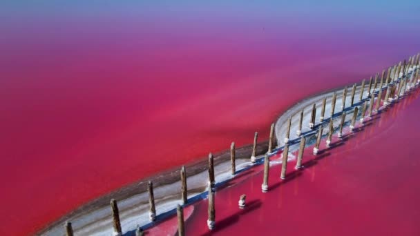 ピンクの塩湖を飛び越える 塩生産設備塩湖の生理食塩水蒸発池フィールド 乾燥結晶塩辛い海岸とミネラルレイクで赤 ピンクの水を与えるDunaliellaサリナ — ストック動画