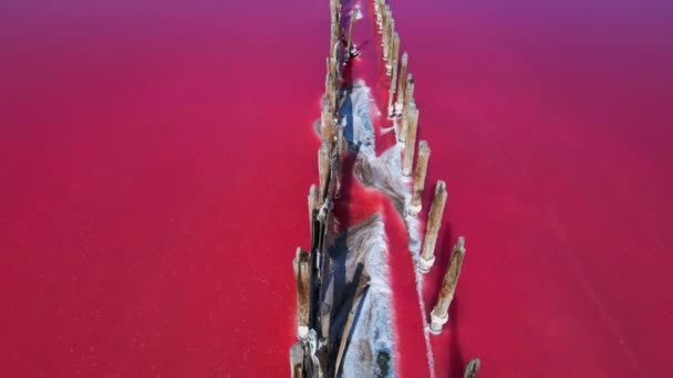 Эпический Беспилотный Полет Над Красивым Розовым Соленым Озером Глубокой Красочной — стоковое видео