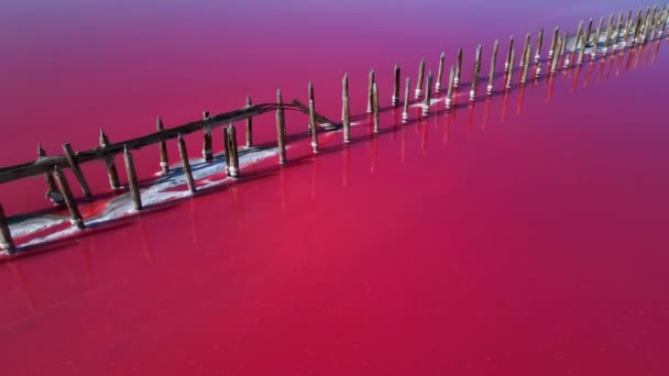 Aerial Top Cinematic View Beautiful Pink Salt Lake Deep Colorful — Stock Video