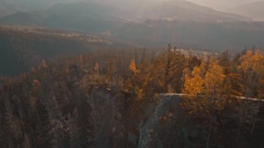 Karpatlar Dağları 'ndaki muhteşem kozalaklı orman ve mavi gökyüzü arka planıyla insansız hava aracının dağ üzerinden uçuşu. Vahşi Ukrayna doğasının güzelliği.