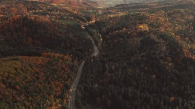 Hava Aracı Manzarası: Çam ağacı ormanı ve kır yolu üzerinde uçuş. Arka plandaki dağ köyü geçidi evleri. Doğa, seyahat, tatiller. Karpatlar, Ukrayna, Avrupa. Kamerayı çalıştır. 4K hareketi