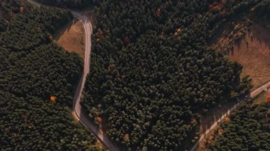 Tepeler, yeşil ve turuncu ormanlar arasındaki kırsal yol üzerinde. Ukrayna sonbaharı bulutlu. Karpatya dağlarında otoyol boyunca uçuyor. Ulaşım, Seyahat, Teslimat